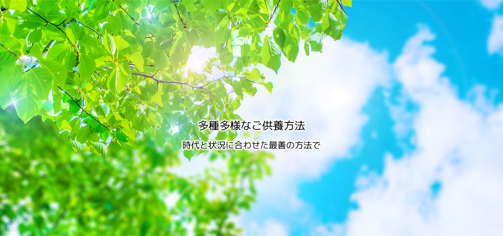 火葬と小さな葬儀専門 かそうやさん｜現役納棺師の葬儀社/24時間対応可能/関東エリア中心に展開